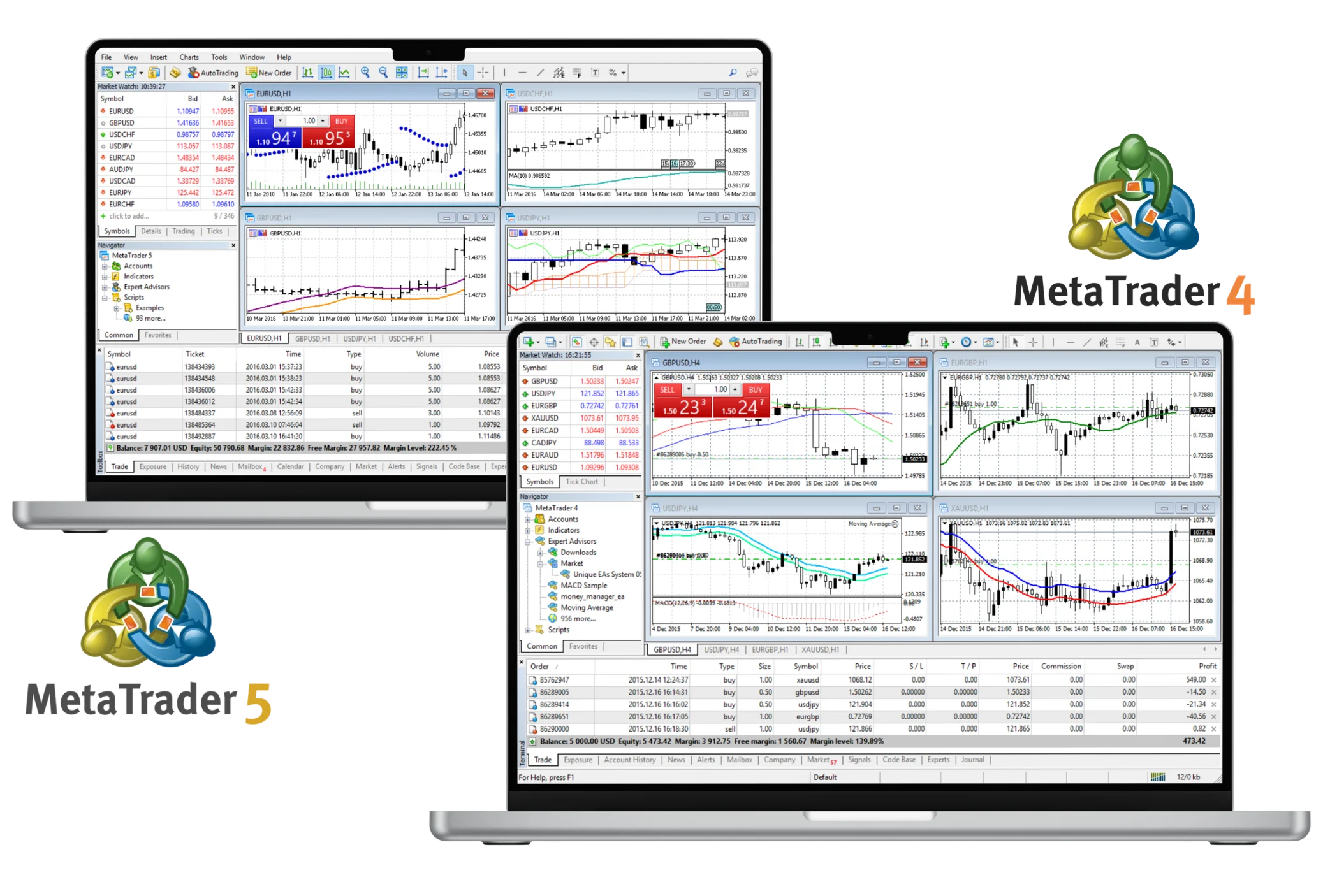 How to Download Exness for PC – MT4 and MT5